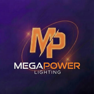 MEGA POWER